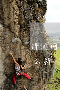 请问网贷逾期了会怎么样(网贷严重逾期会怎么样)