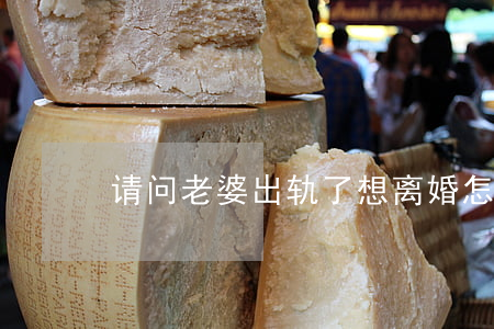 请问老婆出轨了想离婚怎么办