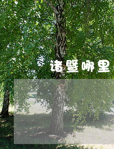 诸暨哪里去找律师(诸暨刑事案件有名律师)