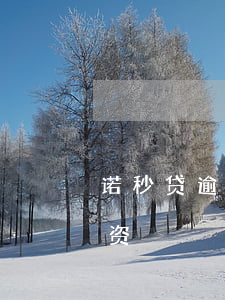 诺秒贷逾期投资人会起诉吗-诺秒贷非法集资