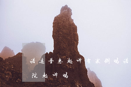诺远普惠起诉有案例吗(诺远普惠真的会向法院起诉吗)