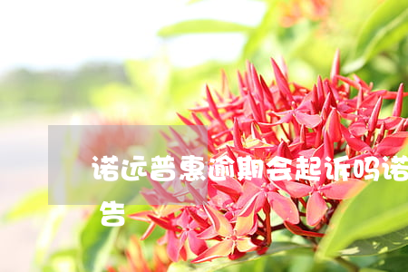诺远普惠逾期会起诉吗(诺远普惠发来开庭公告)
