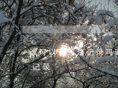 谁可以查违法记录吗(通过什么可以查询违法记录)