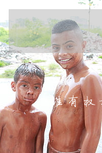 谁有权提起公司决议无效