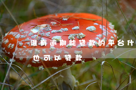 谁有逾期能贷款的平台(什么平台逾期很严重也可以贷款)