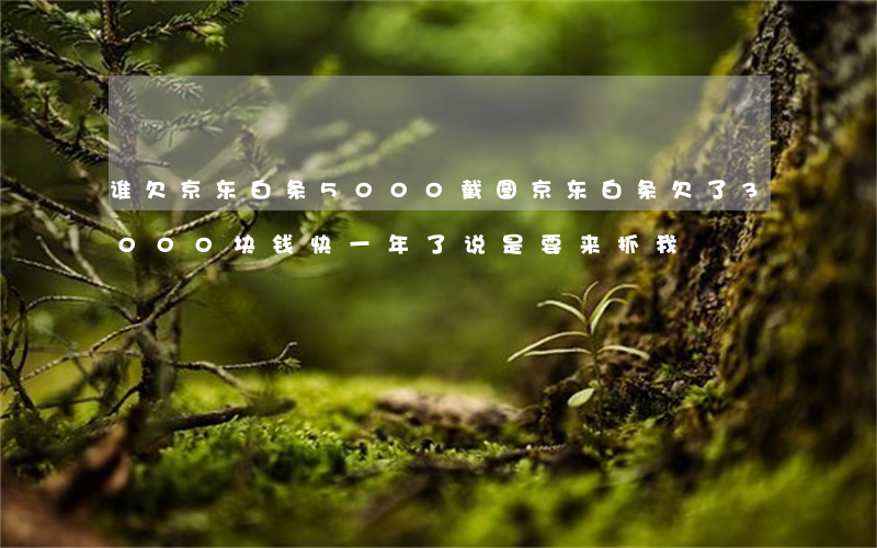 谁欠京东白条5000截图(京东白条欠了3000块钱快一年了说是要来抓我)