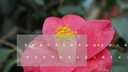 谁的银行卡还款谁就是主贷人吗-谁的银行卡还款谁就是主贷人吗怎么查