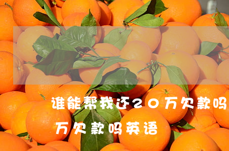 谁能帮我还20万欠款吗-谁能帮我还20万欠款吗英语