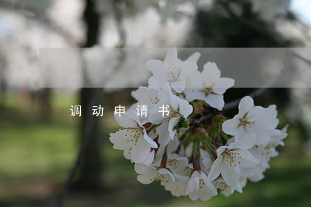 调动申请书