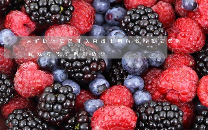 调解协议法院可以直接出调解书吗(在法院调解双方签了调解协议)
