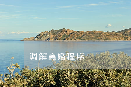 调解离婚程序