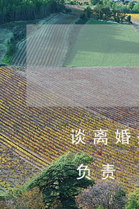 谈离婚条件丈人举报酒驾(老公酒驾老婆需要负责)