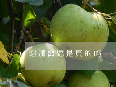 谢娜离婚是真的吗