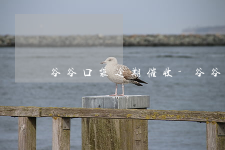 谷谷口袋逾期催收-谷谷口袋逾期催收