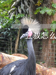 豆叔怎么離婚的(豆叔怎么離婚的)