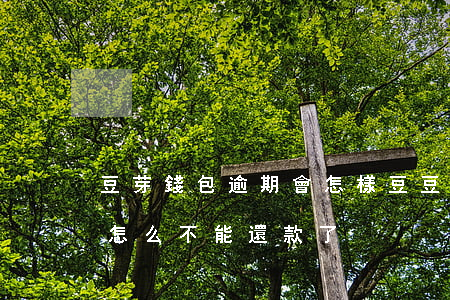 豆芽錢包逾期會怎樣(豆豆錢最后一期逾期了怎么不能還款了)