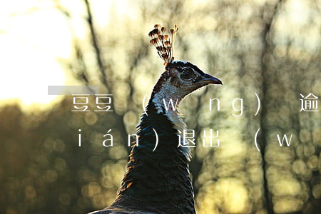 豆豆網(wǎng)貸逾期二年(豆豆錢(qián)退出網(wǎng)貸了嗎)