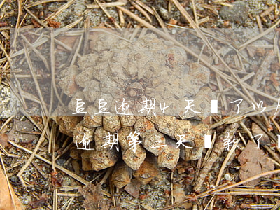 豆豆逾期4天還了以后還有額度嗎-豆豆錢逾期第三天還款了,還影響征信嗎