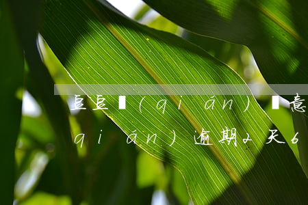 豆豆錢(qián)惡意使人逾期(豆豆錢(qián)逾期2天6000多變成12000多了)