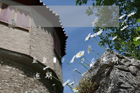 豆豆錢7000逾期(2020年5月豆豆錢逾期)