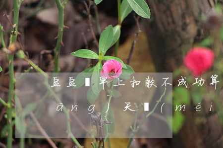 豆豆錢早上扣款不成功算逾期(豆豆錢當(dāng)天沒(méi)扣款,第二天扣了)