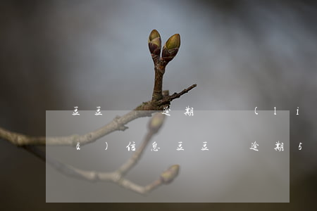豆豆錢沒逾期給聯(lián)系人發(fā)信息 豆豆錢逾期5天會不會給緊急聯(lián)系人打電話