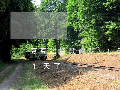 豆豆錢貸款逾期31天了(豆豆錢貸款逾期31天了)