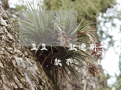 豆豆錢貸款逾期沒還會被法院起訴嗎-豆豆錢貸款不還會起訴嗎