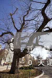 豆豆錢逾期6個(gè)月了(豆豆錢逾期10天還了,但是他們說完全部還)