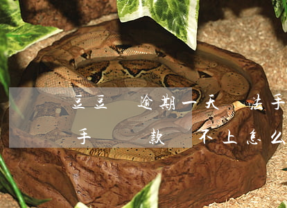 豆豆錢逾期一天無法手動還款怎么辦?(豆豆錢手動還款還不上怎么辦)