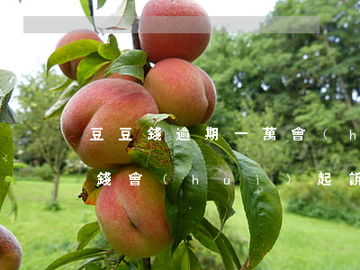 豆豆錢逾期一萬會(huì)被起訴嗎(豆豆錢會(huì)起訴嗎?)