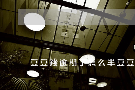 豆豆錢逾期了怎么半（豆豆錢逾期了怎么半）