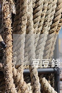 豆豆錢逾期律師函