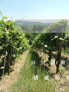 豆豆錢逾期怎么手動(dòng)還款(豆豆錢逾期了一天,賬單卻變成下個(gè)月)
