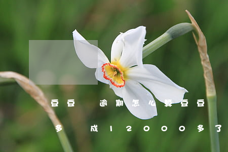 豆豆錢逾期怎么算(豆豆錢逾期2天6000多變成12000多了)