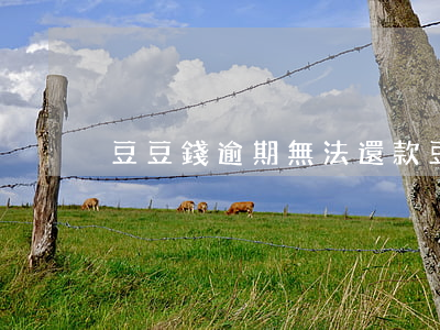 豆豆錢逾期無法還款(豆豆錢逾期無法還款)
