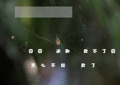豆豆錢逾期還款不了(豆豆錢最后一期逾期了怎么不能還款了)