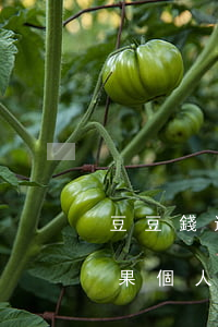 豆豆錢還款后顯示逾期(豆豆錢逾期的3個后果,個人借款必知!)