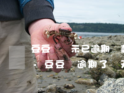 豆豆錢顯示已逾期還款頁(yè)面打不開-豆豆錢逾期了幾天還款失敗是怎么回事