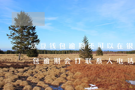 豆豆钱包逾期还可以在银行贷款吗-豆豆钱包逾期会打联系人电话吗?