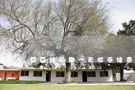 豆豆钱逾期一天收手续费合法吗-