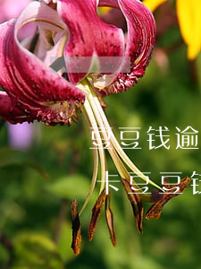 豆豆钱逾期几天会给紧急联系人打电话我爱卡，豆豆钱逾期后会否给紧急联系人打电话？我爱卡用户分享经验