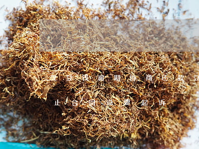 豆豆钱逾期协商还款(豆豆钱逾期4个月说终止合同说要起诉)