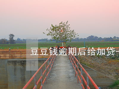 豆豆钱逾期后给加贷-豆豆钱逾期后给加贷