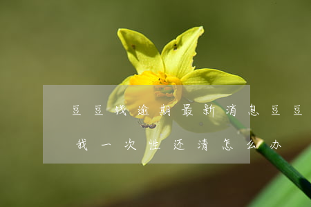 豆豆钱逾期最新消息(豆豆钱逾期了还不上,让我一次性还清怎么办)