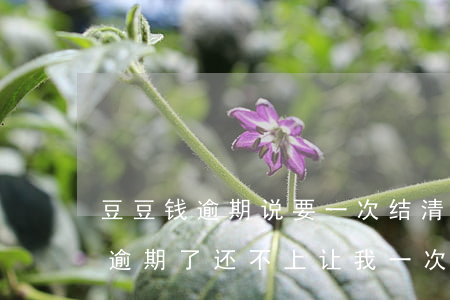 豆豆钱逾期说要一次结清是真的么-豆豆钱逾期了还不上,让我一次性还清怎么办
