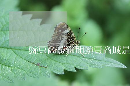 豌豆商城逾期(豌豆商城是不是倒閉了)