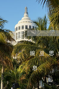 豌豆思维花呗分期免息(豌豆思维花呗分期免息)