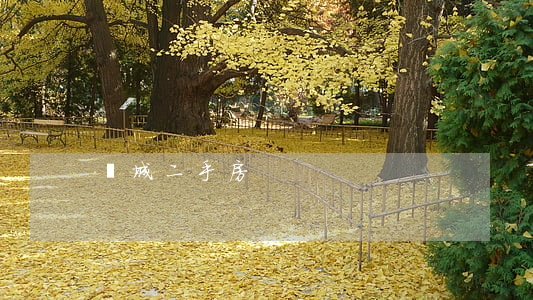豐城二手房