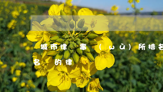 豐城市律師事務(wù)所排名(江西豐城有名氣的律師)